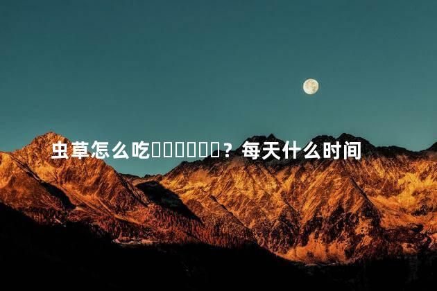 虫草怎么吃？每天什么时间吃最好